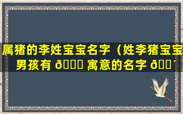 属猪的李姓宝宝名字（姓李猪宝宝男孩有 🐟 寓意的名字 🐴 ）